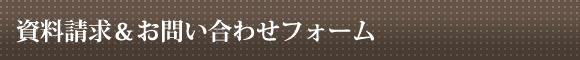 䤤碌ե